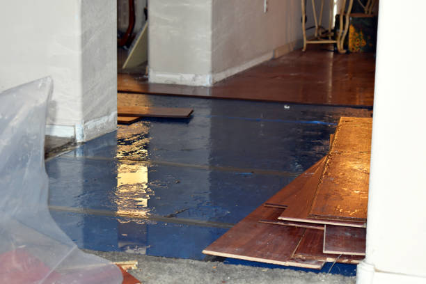 Professional Sewage Cleanup technician working in Naperville, IL